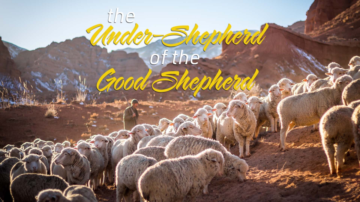 The Under Shepherd of the Good Shepherd